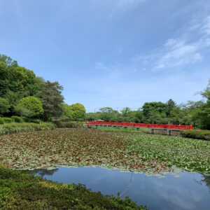 岩槻城址公園