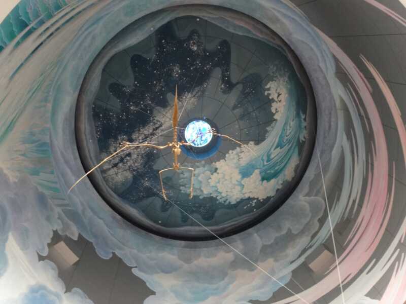 神奈川県立生命の星・地球博物館