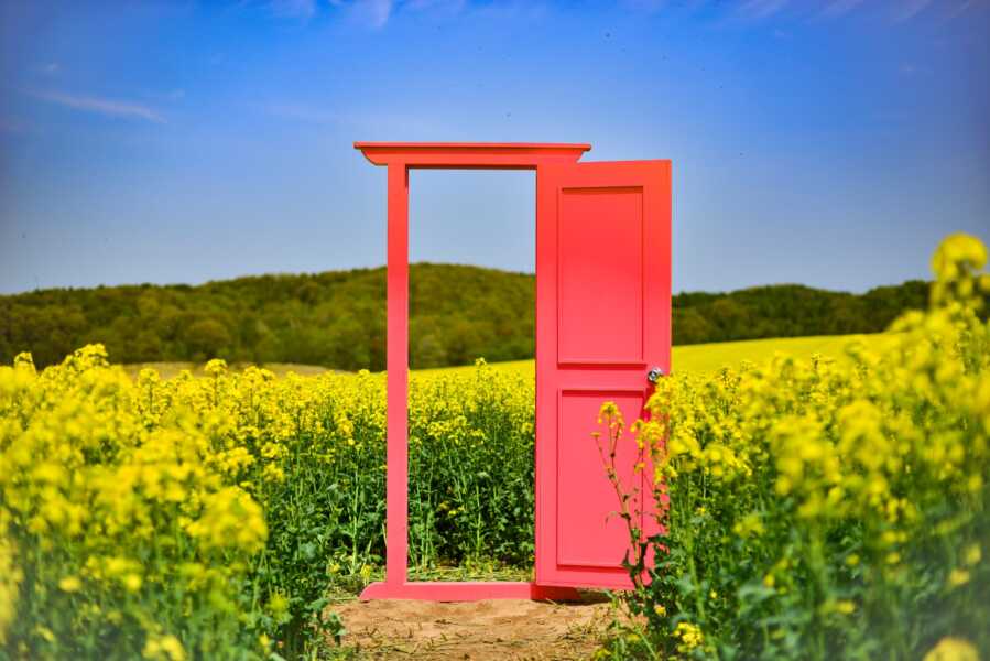 北海道安平町の菜の花畑