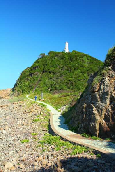 蒲生田岬