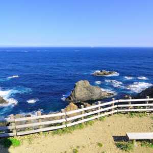 蒲生田岬