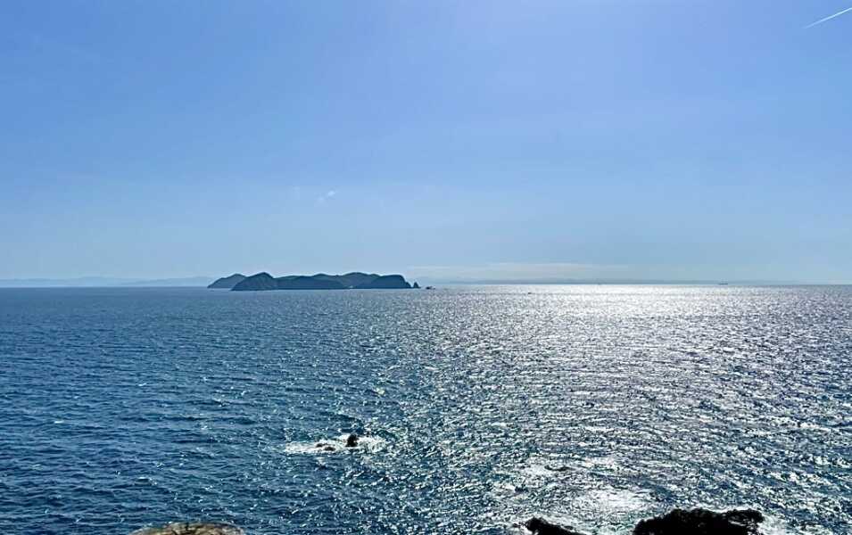 蒲生田岬