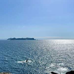 蒲生田岬