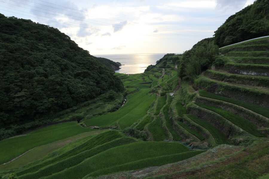 浜野浦の棚田