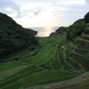 浜野浦の棚田