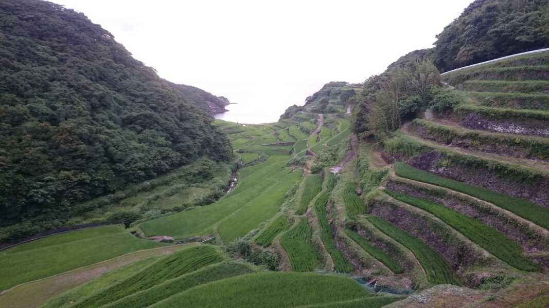 浜野浦の棚田