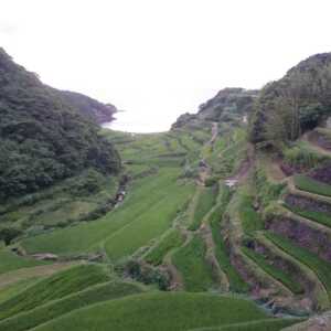 浜野浦の棚田