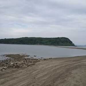 知林ヶ島