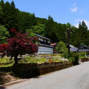鱒留の滝