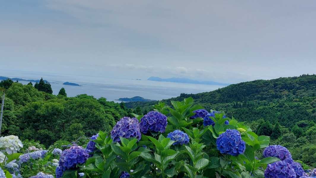 笠山観光農園