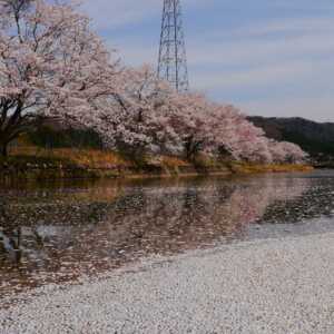 十二ヶ滝