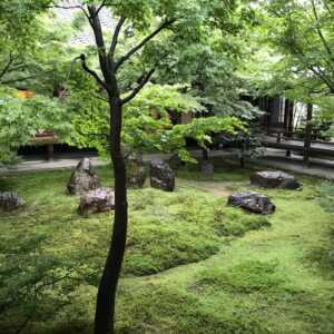 建仁寺