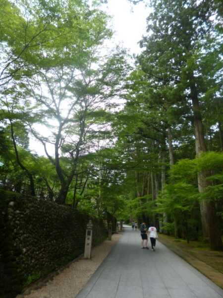 法多山