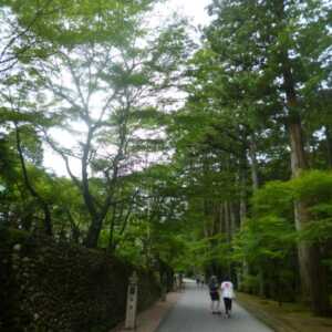 法多山