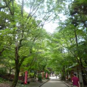 油山寺