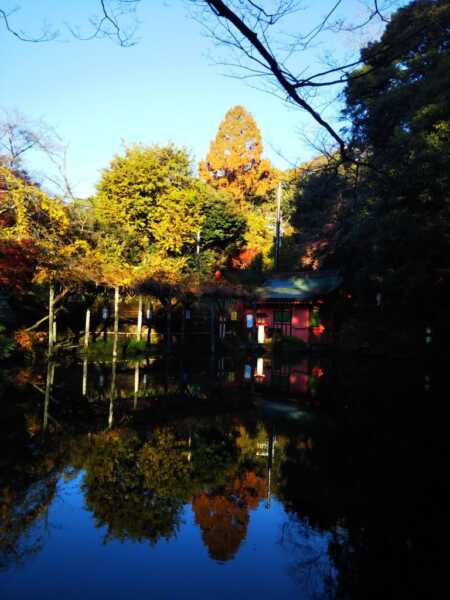 富士山本宮浅間大社