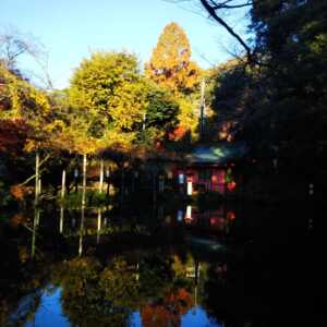 富士山本宮浅間大社
