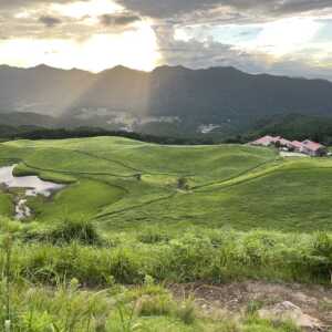 曽爾高原
