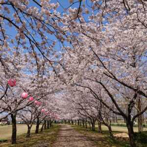木場潟公園