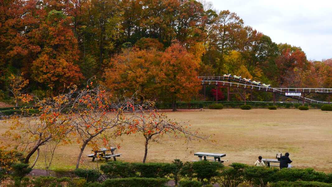 辰口丘陵公園
