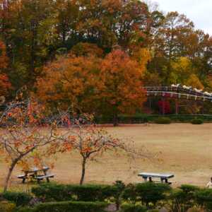 辰口丘陵公園