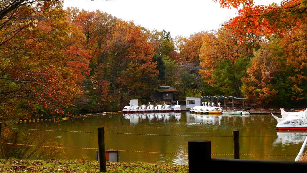 辰口丘陵公園