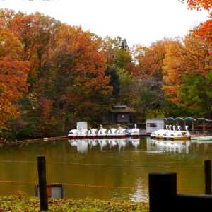 辰口丘陵公園