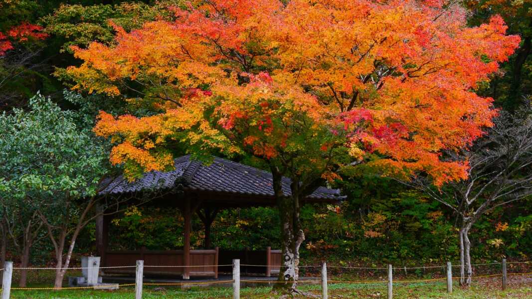 辰口丘陵公園