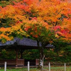 辰口丘陵公園