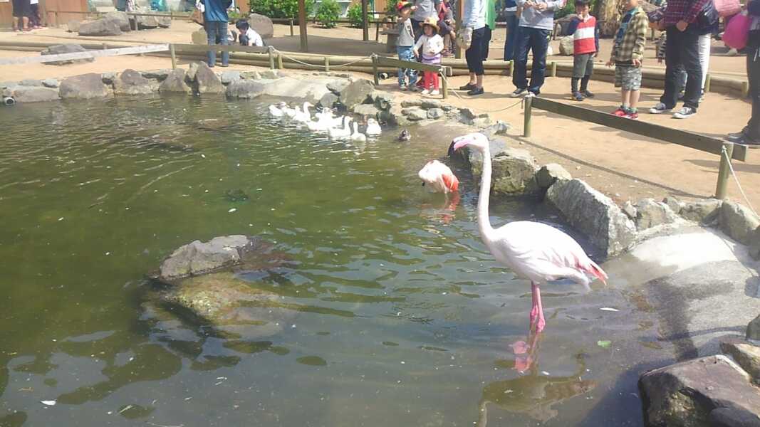 神崎農村公園ヨーデルの森