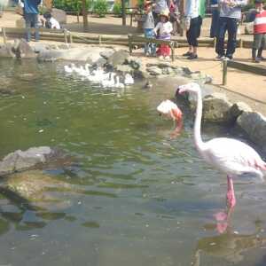 神崎農村公園ヨーデルの森
