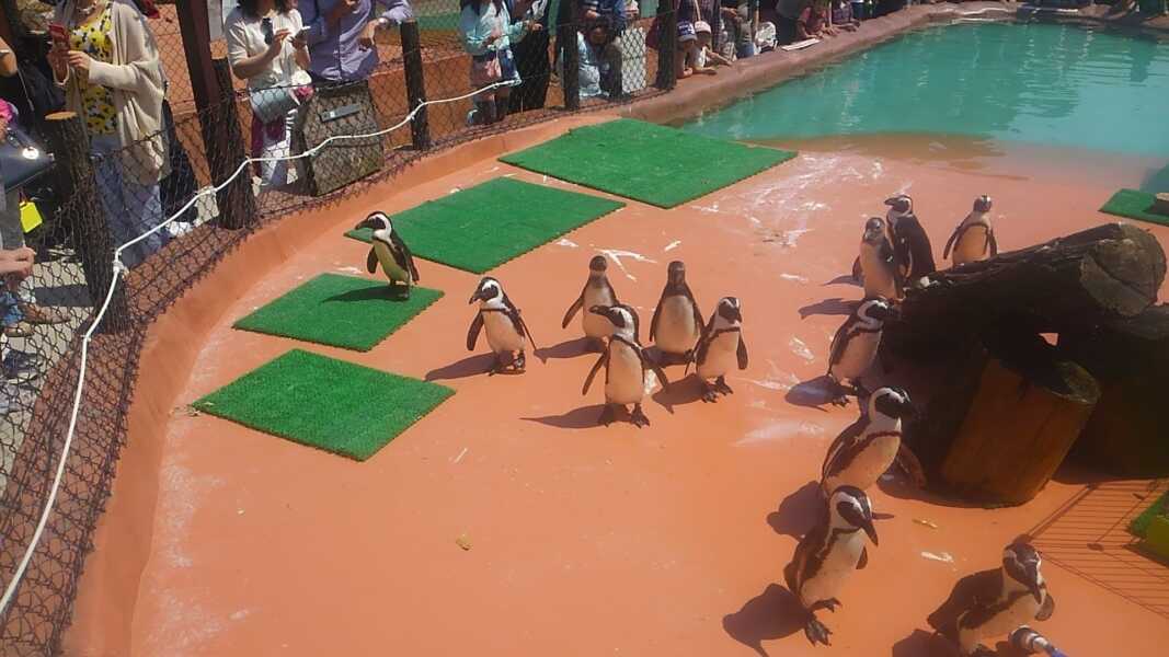 神崎農村公園ヨーデルの森