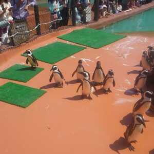 神崎農村公園ヨーデルの森