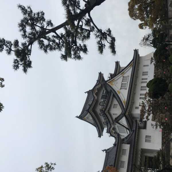 岸和田城
