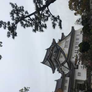 岸和田城