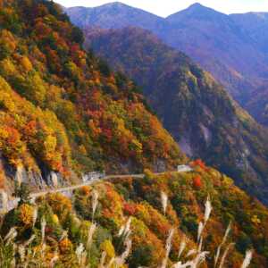 白山白川郷ホワイトロード