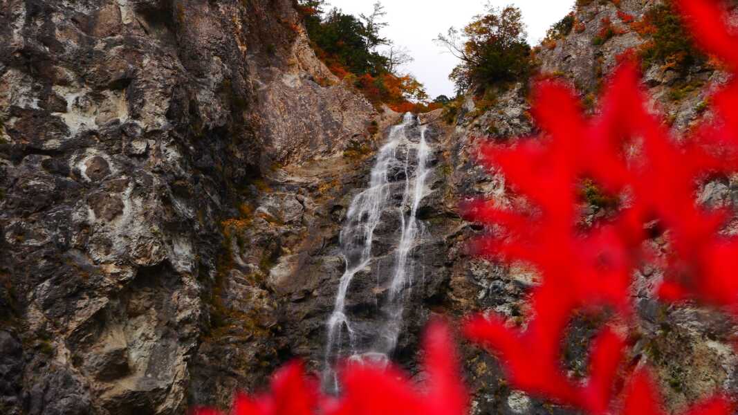 白山白川郷ホワイトロード