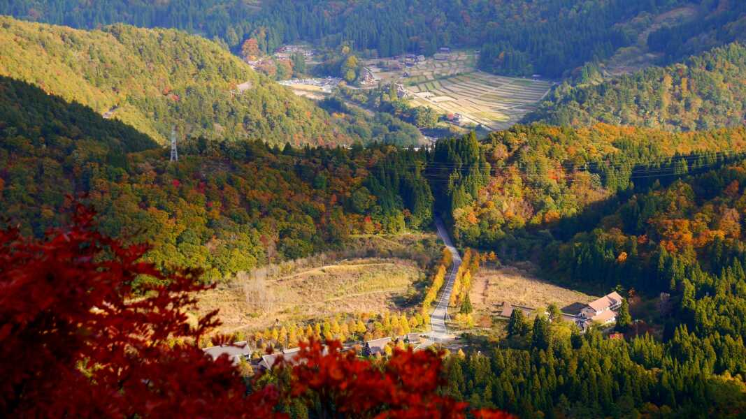 白山白川郷ホワイトロード