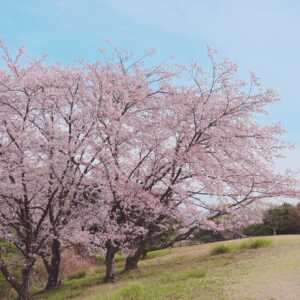青ノ山
