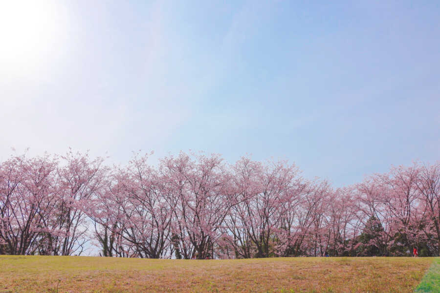 青ノ山