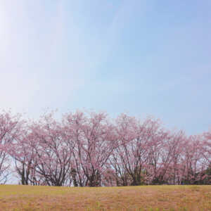 青ノ山