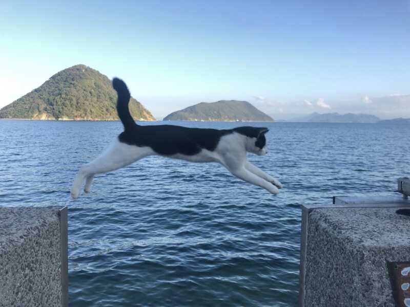 佐柳島