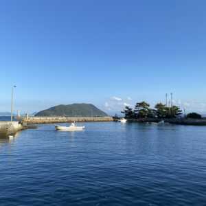 佐柳島