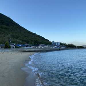 佐柳島