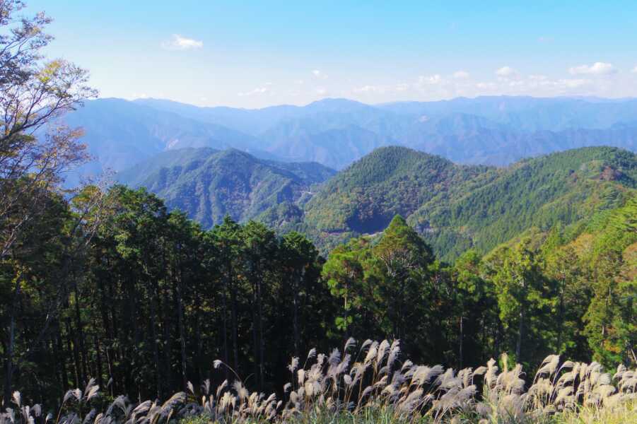 玉置山