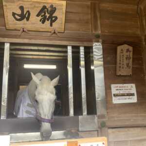 多度大社