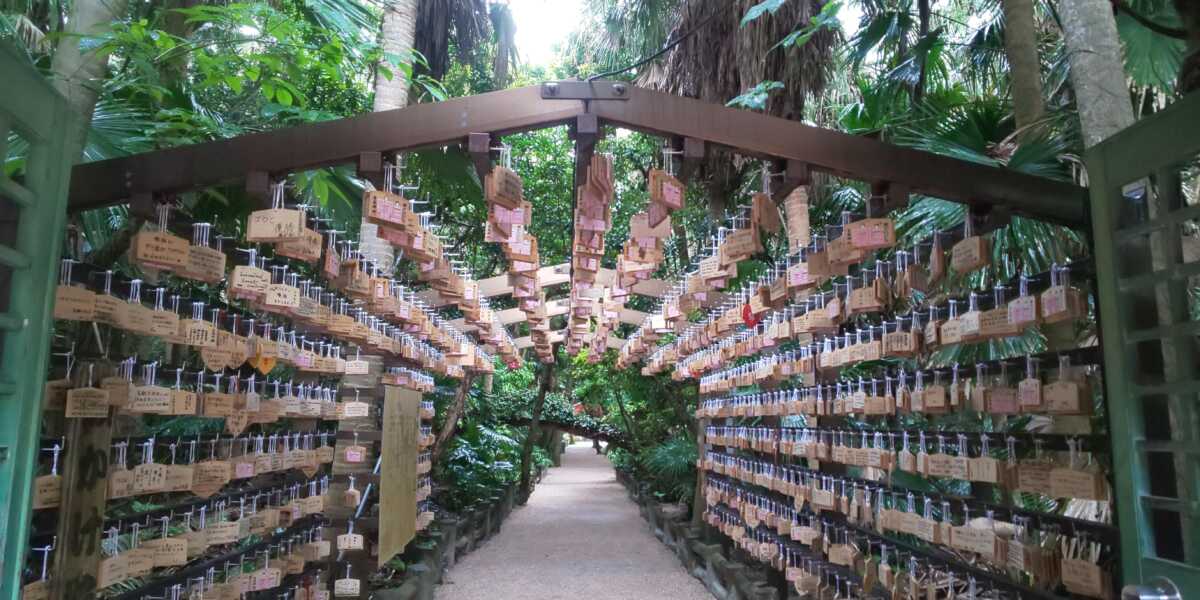 青島神社