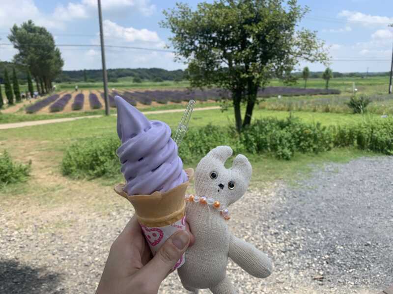 佐倉ラベンダーランド