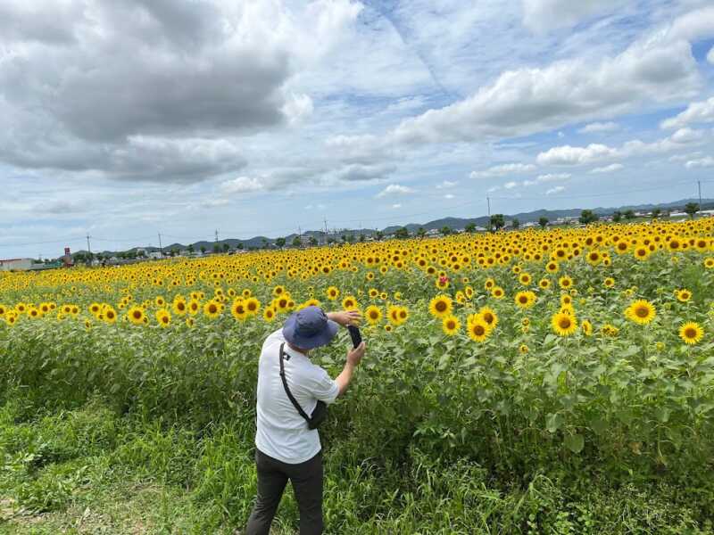 ひまわりの丘公園