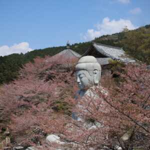 壺阪寺